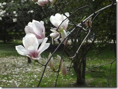 2014-04-02 12.52.29