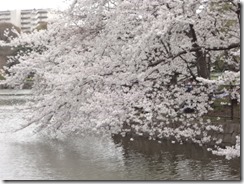 2014-04-02 13.02.35