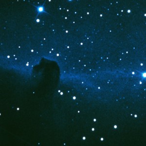SV191_L
